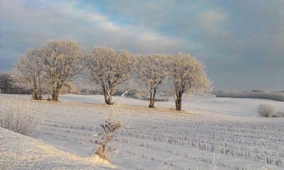 Glimsholtvej/Vendsyssel